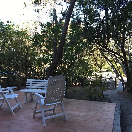 Baia Santa Reparata 公寓 圣特雷莎加卢拉