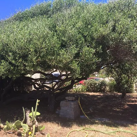 Baia Santa Reparata * Santa Teresa Gallura