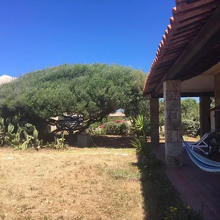 Baia Santa Reparata سانتا تيريزا غالّورا